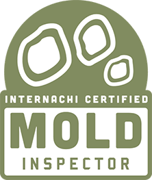 Jardy Group Mold Removal Jacksonville 